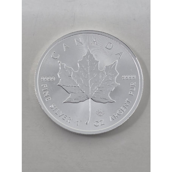1 Oz .9999 Silver 2019 Canada Maple Leaf Coin 