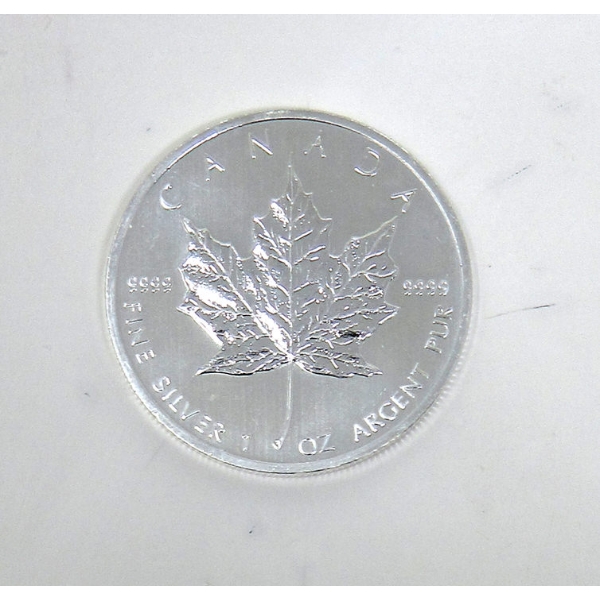 1 Oz .9999 Silver 2013 Canada Maple Leaf Coin 