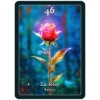 Image 4 : 5 New "L'Oracle de la Forêt de Gaïa" Card Decks