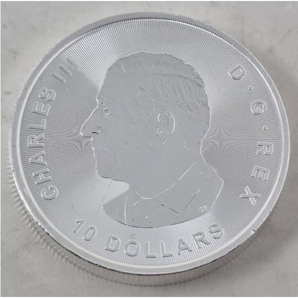 2 Oz .9999 Silver 2024 Canada Twin Maples Coin 