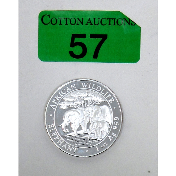 1 Oz .999 Silver 2013 African Wildlife Elephant Coin