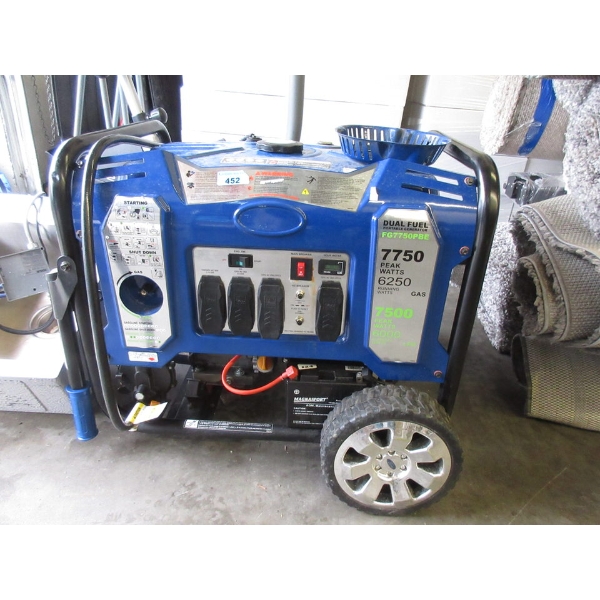 Ford 7750 Peak Watt Gas Generator