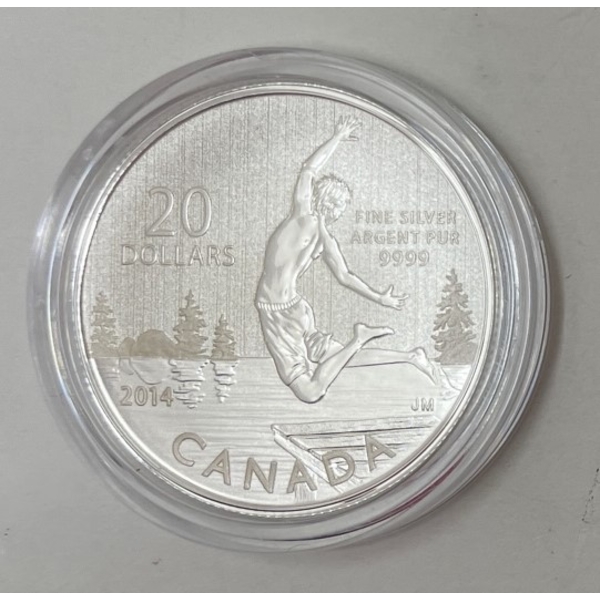 .9999 Silver 2014 Summertime $20 Coin 