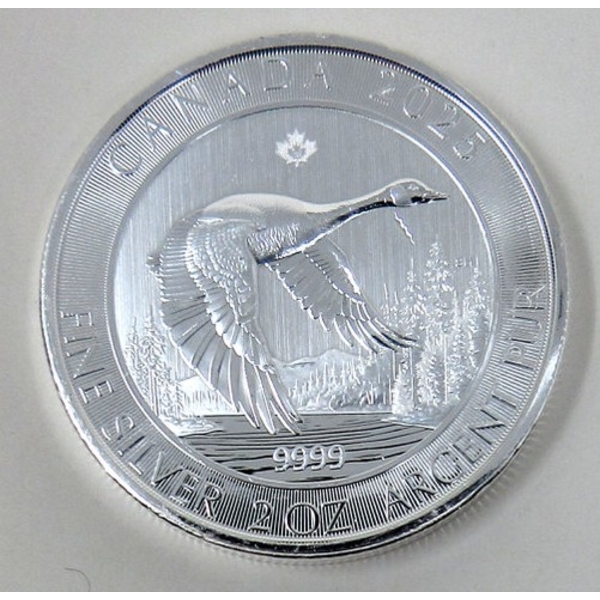2 Oz .9999 Silver 2025 Canada Goose Coin 