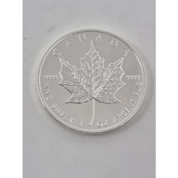 1 Oz .9999 Silver 2013 Canada Maple Leaf Coin