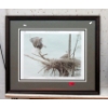 Image 1 : Variety Club Robert Bateman Framed Print