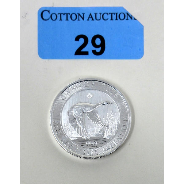 Early Release 2 Oz .9999 Silver 2025 Canada Goose Coin 