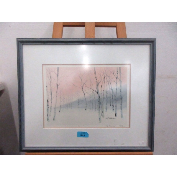 W. J. Adams Ltd. Edition Print  Silver Birch 