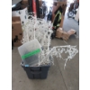 Image 1 : White Illuminated Christmas Tree in Tote