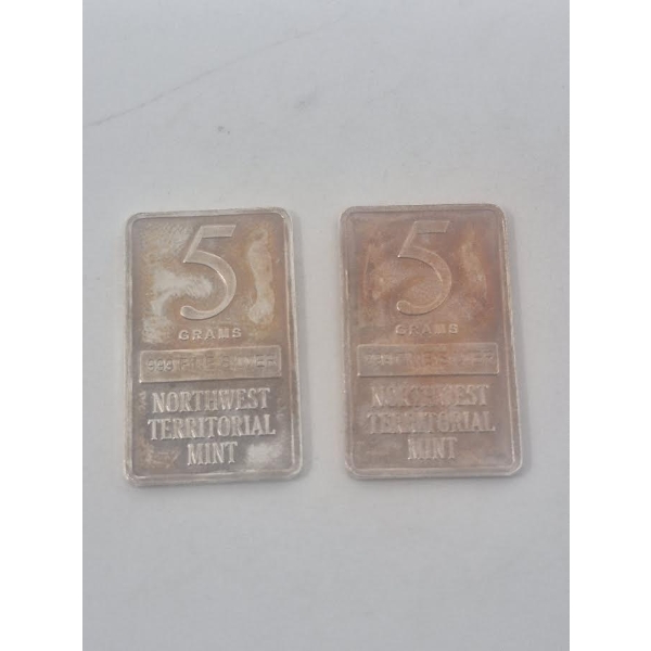 2 x 5 Gram .999 Silver NWTM Bars