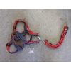 Image 3 : 50 New Dog Leash & Harness or Collar Sets - Assorted