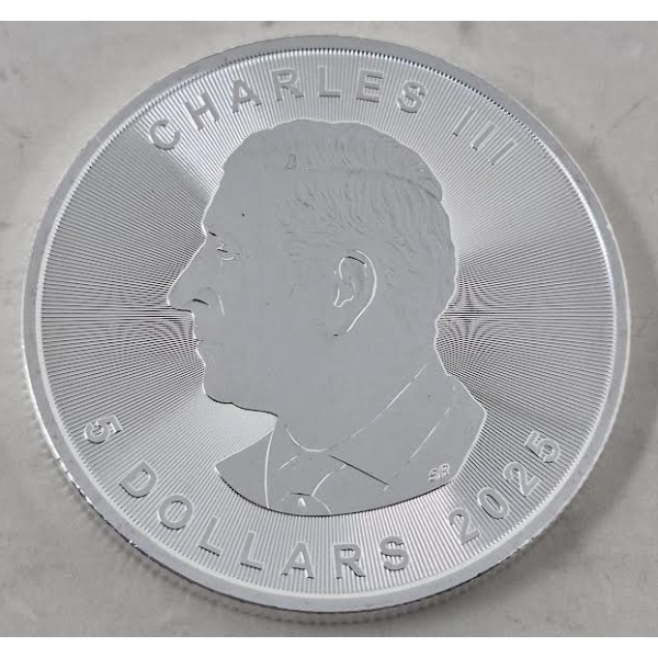 1 Oz .9999 Silver 2025 Canada Maple Leaf Coin 
