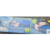 Image 1 : Sugarlake Self Inflating Sleep Pad