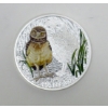 Image 1 : 1 Oz .9999 Silver 2015 Burrowing Owl Colorized Coin 