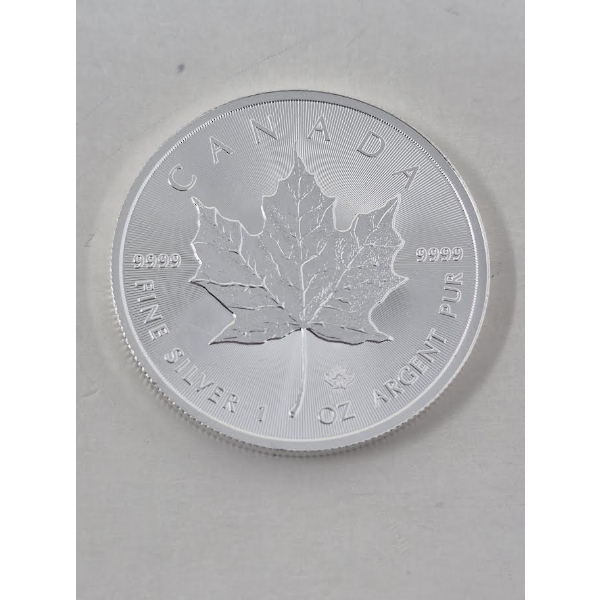 1 Oz .9999 Silver 2019 Canada Maple Leaf Coin 