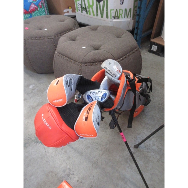 Cobra Golf Stand Bag with 6 Assorted Clubs