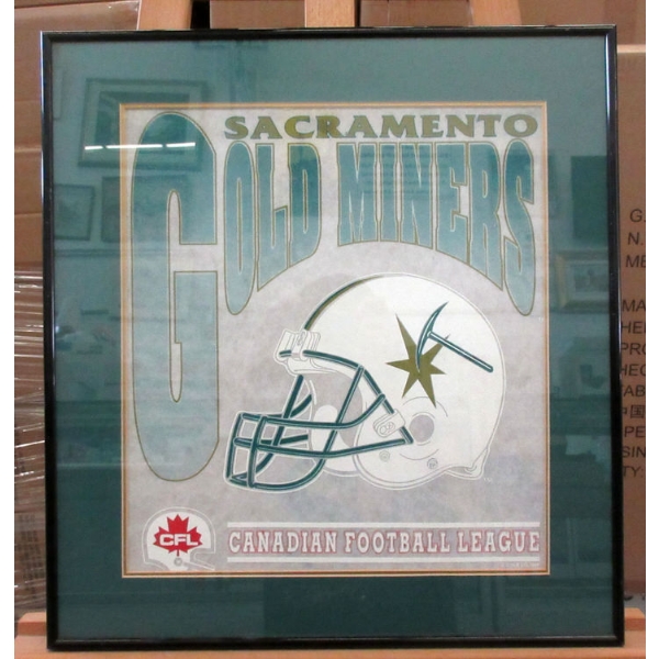 Sacramento Gold Miners Transfer Print - 1994