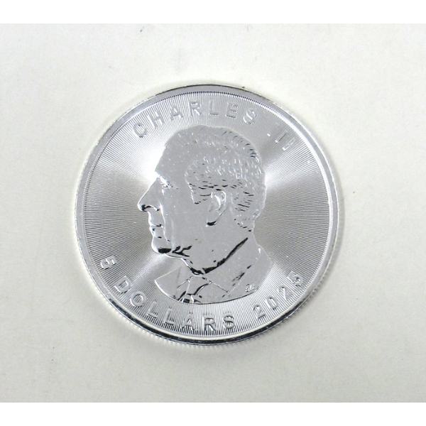 EARLY RELEASE First Mint 1 Oz .9999 Silver 2025 Maple Leaf Coin 