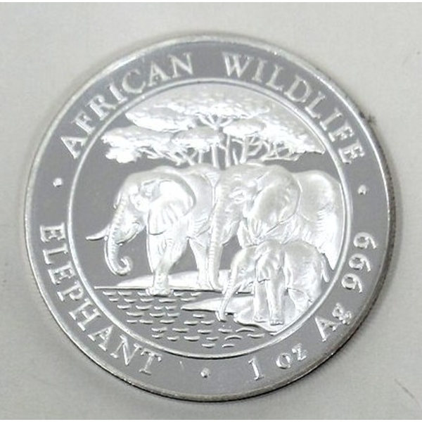 1 Oz .999 Silver 2013 African Wildlife Elephant Coin 