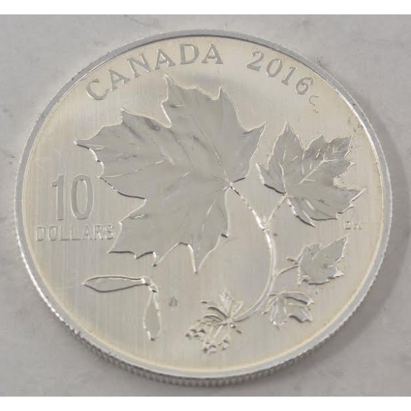 1/2 Oz .9999 Silver Canadian Maple Leaves Coin 