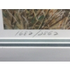 Image 3 : Robert Bateman Ltd. Edition Framed "Tundra Swan" Print