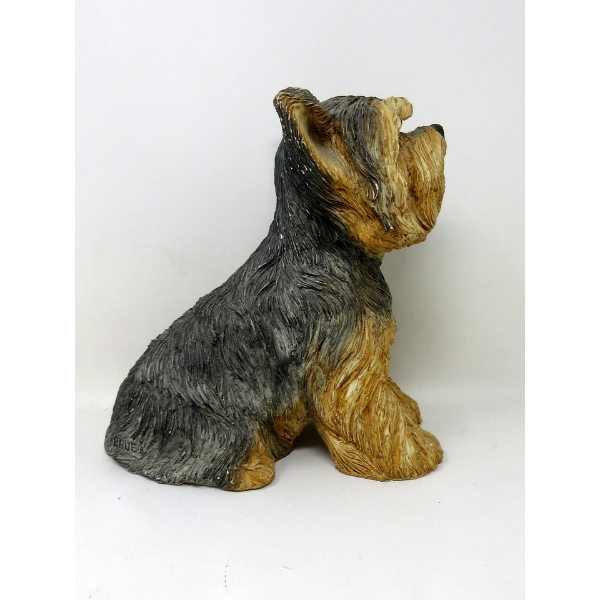 Sandicast #247 Yorkshire Terrier Pup