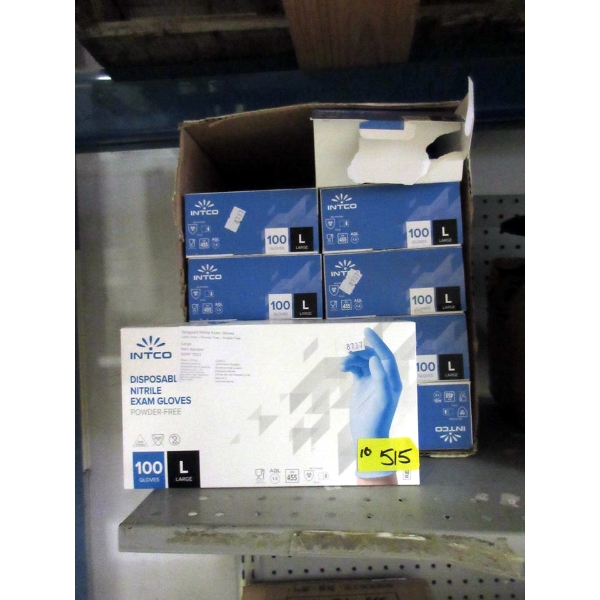 10 Boxes of 100 Intco Disposable Gloves 