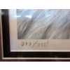 Image 2 : 1984 R. Fehr Signed Ltd Edition "Bald Eagle" Print