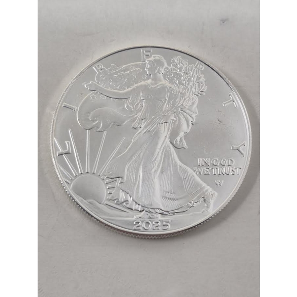 1 Oz .999 Silver 2025 Walking Liberty Coin 