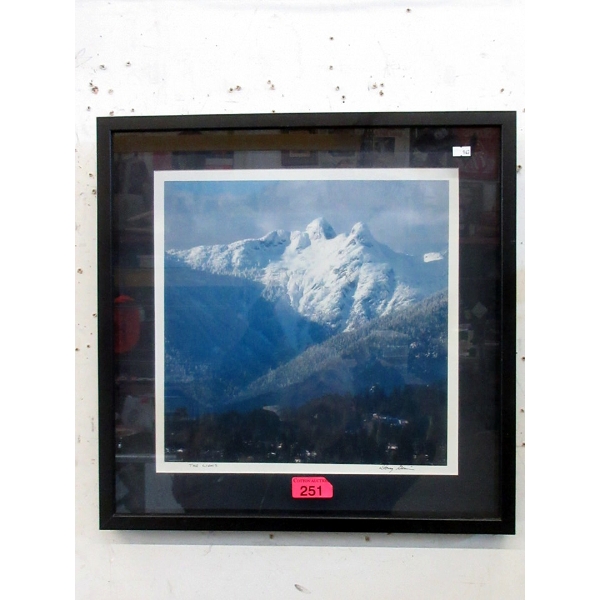 Box Framed "The Lions" Photographic Print