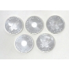 Image 1 : 5 x 1 Oz .999 Silver Sunshine Minting Round 