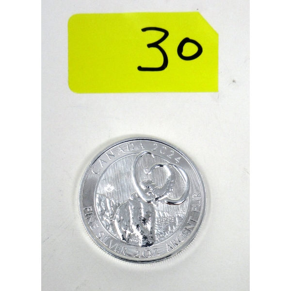 2 Oz .9999 Silver 2024 Mammoth Coin 