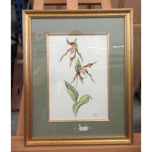 Original L. Bohm Orchid Watercolour Painting 