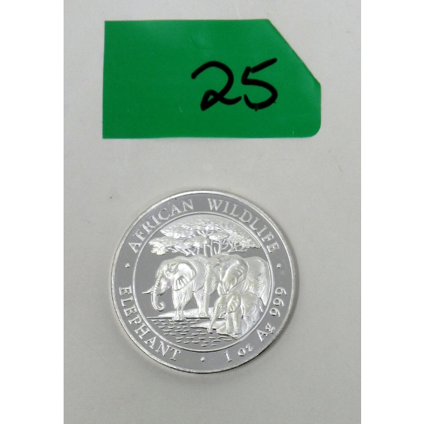 1 Oz .999 Silver 2013 African Wildlife Elephant Coin 
