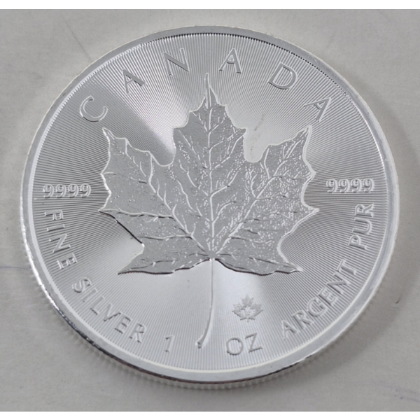 1 Oz .9999 Silver 2022 Canada Maple Leaf Coin 