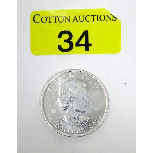 1 Oz .9999 Silver 2013 Maple Leaf Coin 