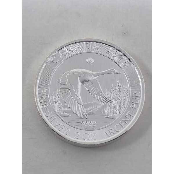 2 Oz .9999 Silver 2025 Canada Goose Coin 