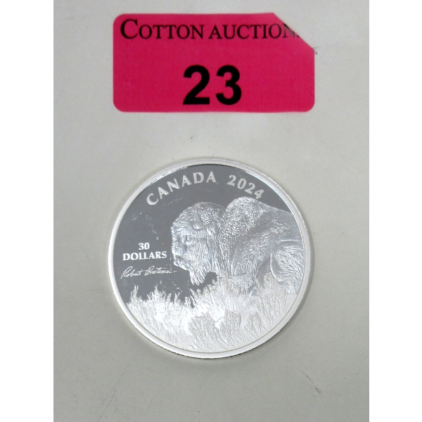 2 Oz .9999 Silver 2024 Weather Watch: Bison Coin 