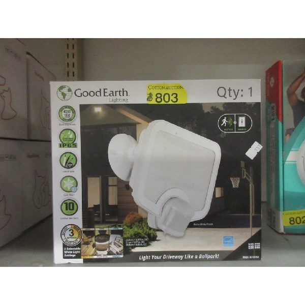 Good Earth Motion Activated Security Flood Light
