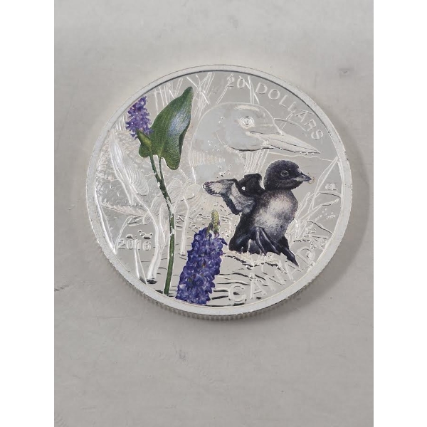 1 Oz .9999 Silver Colorized Loon Baby Animal Coin 