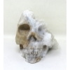 Image 2 : 3D Artist Hand Carved Crystalized Quartz Skull    