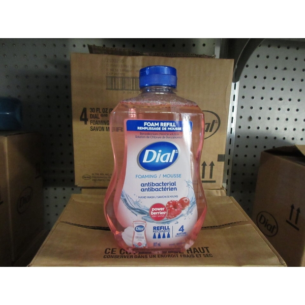 Case of 4 Dial Foaming Hand Wash Refills - Power Berries