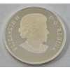 Image 2 : 1 Oz .9999 Silver Iconic Canada: Polar Bear Coin