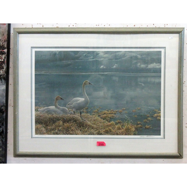 Robert Bateman Ltd. Edition Framed "Tundra Swan" Print