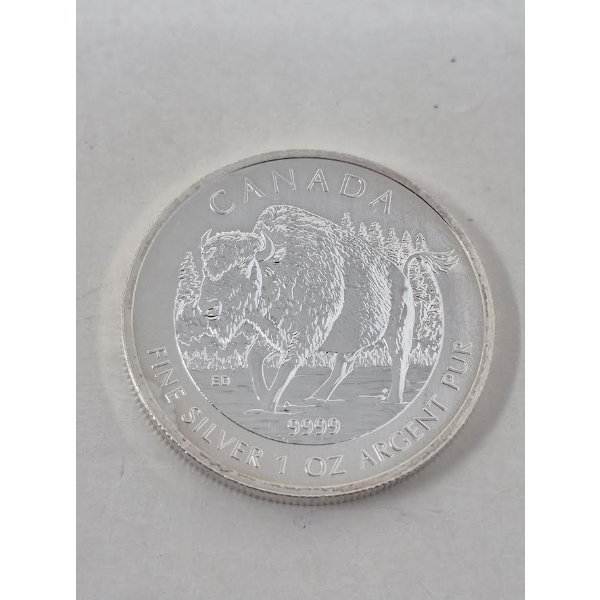 1 Oz .9999 Silver 2013 Canada Bison Coin 