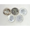 Image 2 : 5 x 1 Oz .9999 Silver 2011 Maple Leaf Coins 