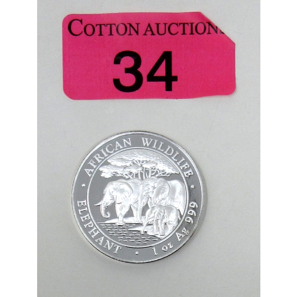 1 Oz .999 Silver 2013 African Wildlife Elephant Coin 