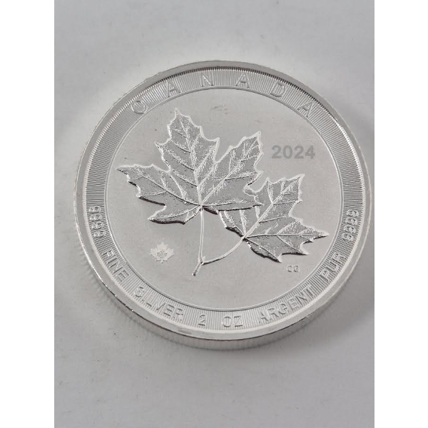 2 Oz .9999 Silver Canada 2024 Maple Leaves Coin