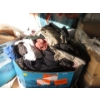 Image 1 : Skid of Overstock and Customer Return Clothing