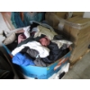 Image 1 : Skid of Overstock & Customer Return Clothing